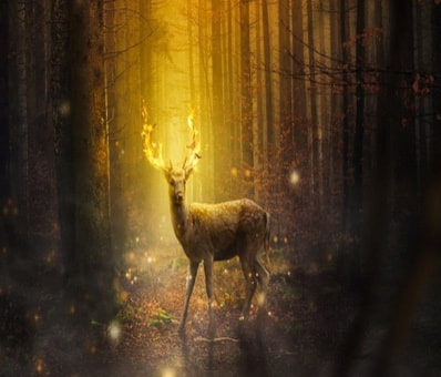 Mystical Stag