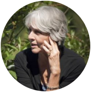 Robin van Loben Sels Center for Alchemical Studies Santa Fe Lecture Series